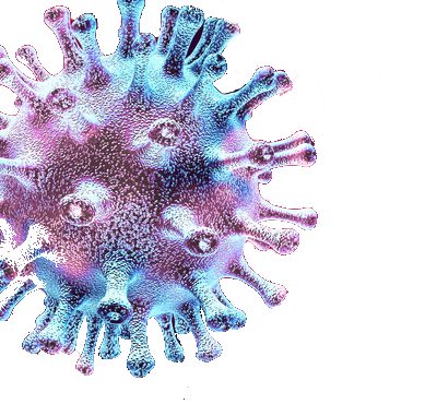 Coronavirus_trans